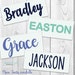 Name Decal••Name Sticker••Vinyl Name Decal••Personalized Name Decal••Custom Name Decal••Word Decal••Foil Vinyl Decal••Chrome Vinyl Decal 