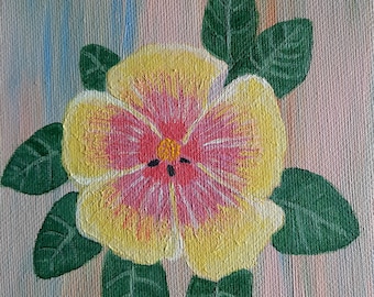 Original floral hibiscus Rainbow Sherbet bloom