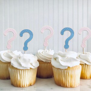 Gender Reveal Cupcake Toppers: Pink & Blue Question Marks, Set of 12