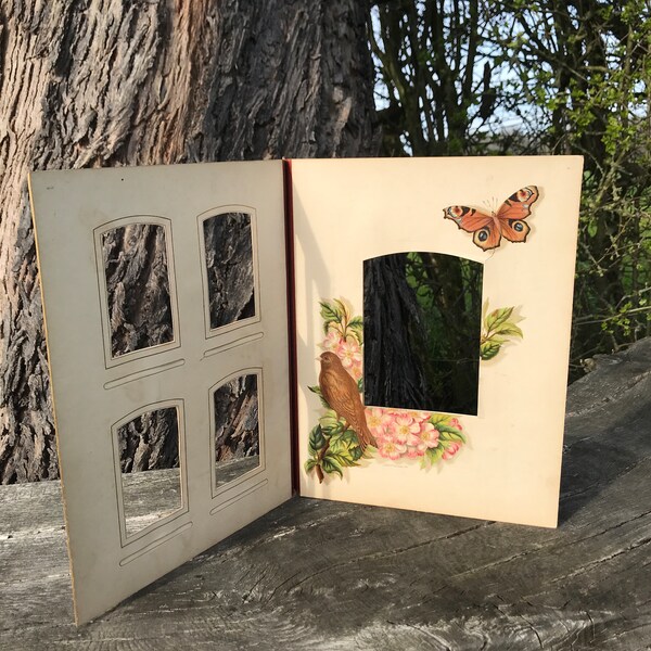Victorian Photo Album Pages with Birds and flowers, Ornamental photo surrounds, decorative photo mounts,