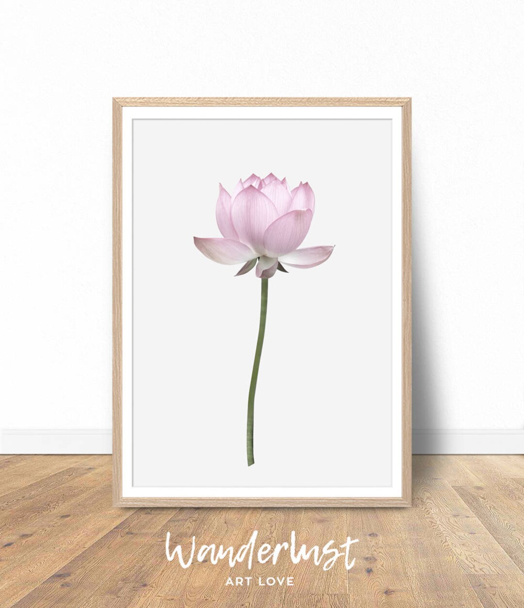 Lotus Flower Wall Art Lotus Flower Print Lotus Flower Art Etsy