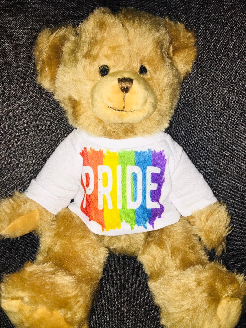 Gay pride bear LGBT rainbow teddy image 0