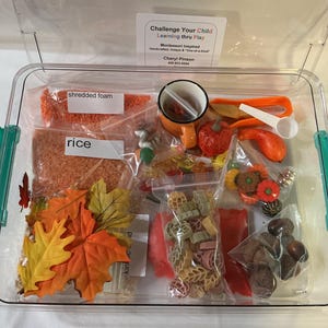 Fall Sensory Tray
