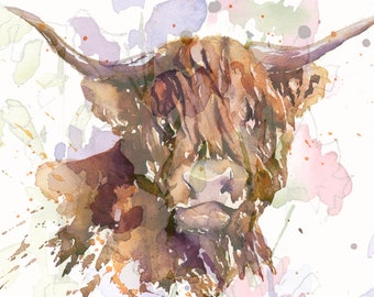 Scottish Highland Coo IV