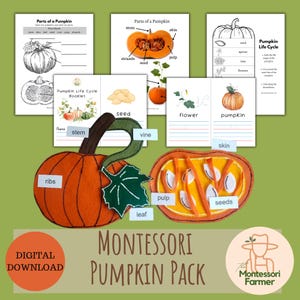 May include: A Montessori pumpkin educational pack featuring printable worksheets on pumpkin parts and life cycles, alongside felt pumpkin models with labels for ribs, stem, vine, leaf, pulp, and seeds. The set includes text for a digital download.