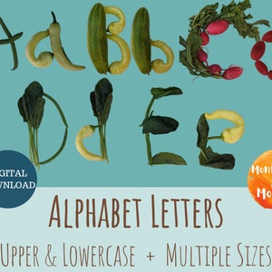 Tarjetas de letras de plantas de jardín Reconocimiento de lectura de lenguaje Imprimible Preescolar Jardín de infantes Montessori Actividad de frutas y verduras Mayúsculas minúsculas