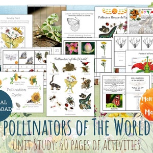 Polinizadores del mundo Unidad de estudio Montessori Homeschool Tarjetas imprimibles de 3 partes Naturaleza Actividad Preescolar Hoja de trabajo Niños Mariposa Abejas