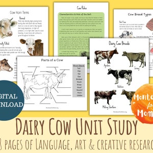 Dairy Cow Unit Study Montessori Homeschool Science Printable Nature Activity Elementary Worksheet Kids Activity Language Creative Research
