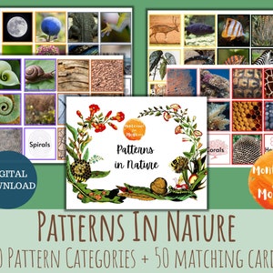 Patterns In Nature Montessori Science Kindergarten Preschool Animal Study Printable Kids Educational Homeschool Activity image 1