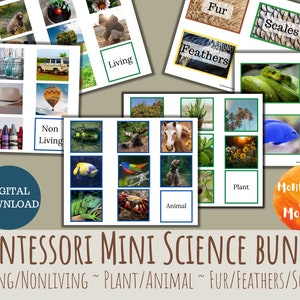 Cartões de pacote científico montessori para impressão, atividade pré-escolar, jardim de infância, planta, penas de pele de animal, balanças vivas, não vivas, primeira infância