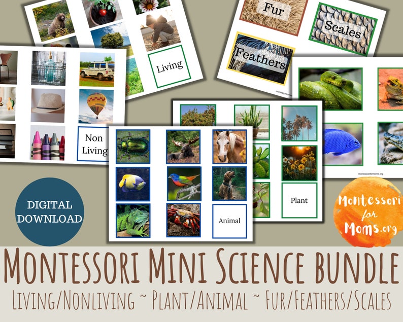 Montessori Science Bundle Cards Printable Preschool image 1