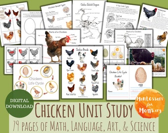 Chicken Unit Study Montessori Homeschool Science Printable 3 Part Cards Nature Activity Preschool Worksheet Kids Activity Language Math