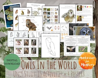 Owls in the World Unit Study Montessori Homeschool Printable 3 Part Cards Nature Activity Preschool Worksheet Playdough Mat Kids Activity