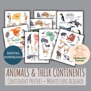 Poster Tiere und ihre Kontinente zum Ausdrucken