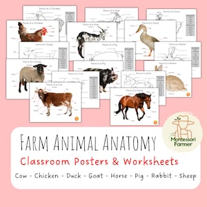 May include: A set of eight printable farm animal anatomy posters for kids. Each poster features a different farm animal, including a cow, chicken, duck, goat, horse, pig, rabbit, and sheep. The posters are labeled with the names of the animal's body parts.