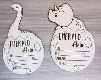 Dinosaur Birth Sign, Newborn Stats, Custom Brontosaurus Birth Announcement, Personalized First Picture, Newborn Announcement, Nursery Sign