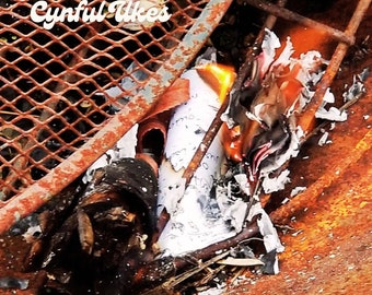 Cynful Ukes Album "Trauma Stew"