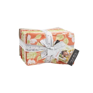Strawberries Rhubarb 9 x 22 Cut 20400F8 Moda Precuts designer Fig Tree And Co 100% High quality cotton fabric reds, corals, pinks and greens