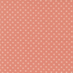 Peachy Keen Coral Seeds Blenders  29173 19 Moda Designed by Corey Yoder Sold by the Yard