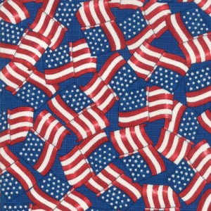 Land That I Love Warm Brave Blue  Moda # 19883 13  Deb Strain Seasonal Patriotic Waving Flags Light Blue Sold by the Yard