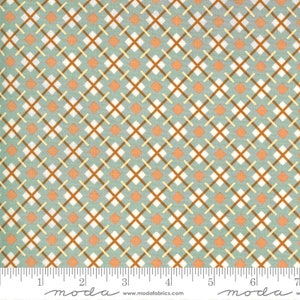 Kitty Corn Goblin 31174 15 Moda Party Plaid Aqua 100% high quality cotton fabric sold by the yard  Designer Urban Chiks