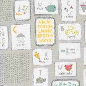 Shine Stormy Flashcards Novelty 55670 27 Moda Designed by Sweetwater Sold by the Yard