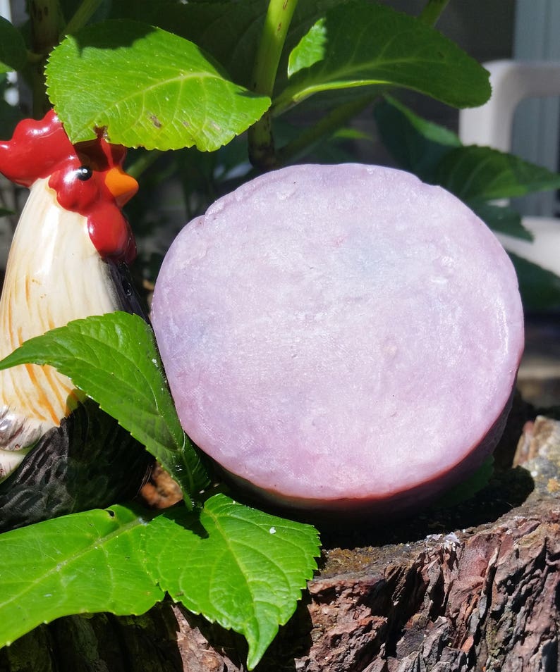 Curly Hair Shampoo Bars Etsy