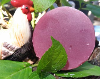 Hair Conditioner Bar - Cotton Blossom Hair Conditioner - Leave in Conditioner, Conditioner Bar, Hair Detangler, Solid Detangling Bar