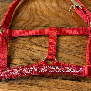 Miniature Horse Halter