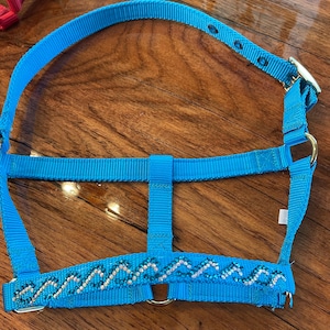 Miniature Horse Halter