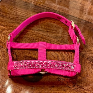 Miniature Horse Halter