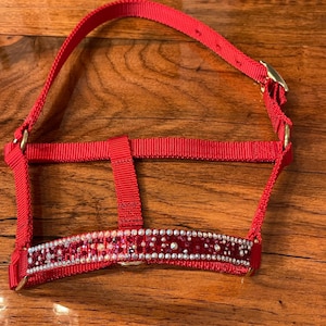 Miniature Horse Halter