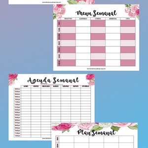 2023 Agenda Calendario Planificador Floral en Español Imprimible, Planificador de Metas y Objetivos,Agenda Mensual, Semanal y Diario, image 4