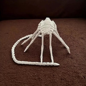 Alien Facehugger Articulated Model Joint-Flexible 3D printed fidget nerd toy