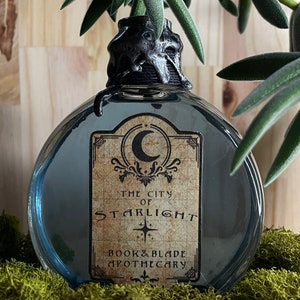 Bookish potions/book shelf decor