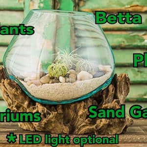 Terrarium w/ LED light Fish TankAir Plantssand gardenswood sculpturesglass sculpturesMolten Glass Vasebetta tanksPlanterUnique Gift image 2