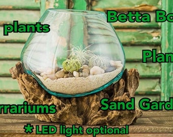 Hand Blown Terrarium Planter | Recycled Wood Sculpture (LED Optional)