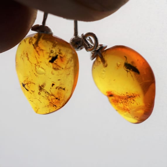 Inclusion Baltic amber earrings 2g