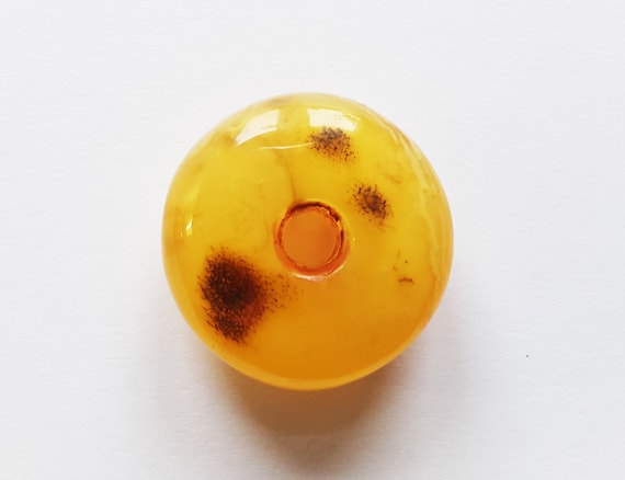 Donut Amber Pendant