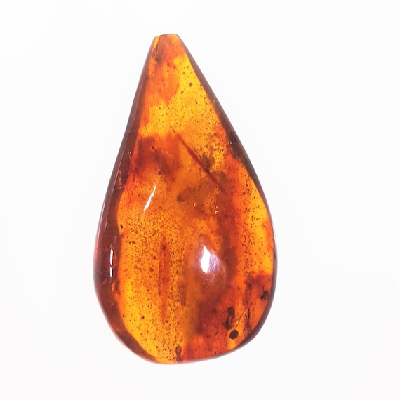 Natural BALTIC AMBER Stone With Insect Inclusion 7g