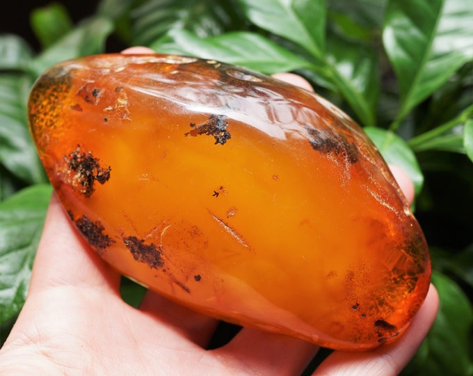 87g. Collectible Huge Genuine Baltic Amber