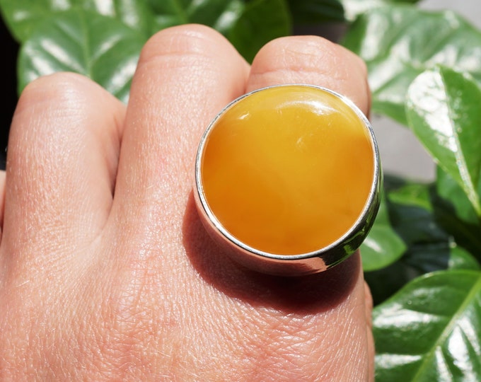 13,7g. Butterscotch Baltic Amber Ring, Genuine Amber Ring, Adjustable Ring