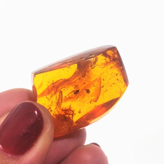 AMBER Stone With Insect Inclusion 9,3g