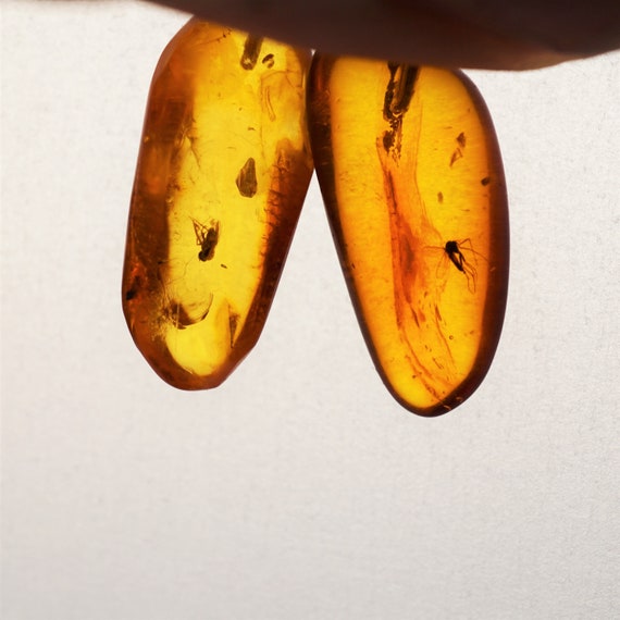 Inclusion Baltic amber earrings 2g