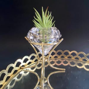 May include: A clear, diamond-shaped glass vase holding a small green plant, set in a gold-colored metal stand. The stand sits on a gold-rimmed tray with a scalloped edge. The background is black.