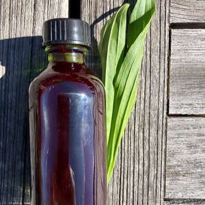 plantain herbal oil