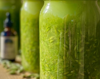 May include: Three glass jars filled with a green liquid and green plant matter. The jars have silver lids.