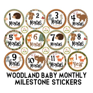 Woodland Forest Friends Baby Clothing Monthly Milestone Stickers