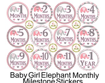 Baby Girl Elephant Pink and Grey Baby Monthly Milestone Stickers Photo Props