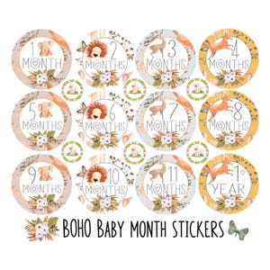 BOHO Chic Baby Monthly Milestone Stickers Photo Prop